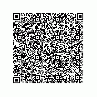 vCard 79833229351