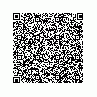 vCard 79833229373