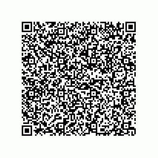 vCard 79833229381