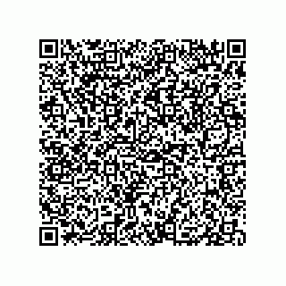 vCard 79833229382