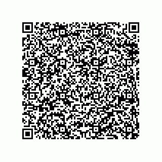 vCard 79833229487
