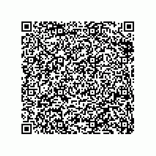 vCard 79833229499