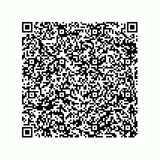 vCard 79833229995