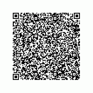 vCard 79833230528