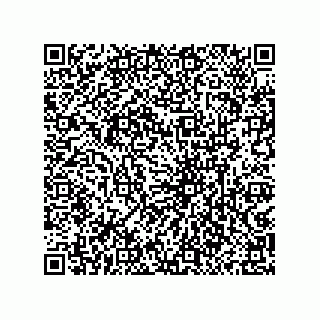 vCard 79833231006