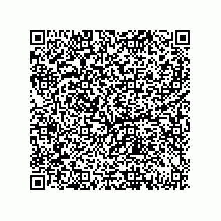 vCard 79833231296