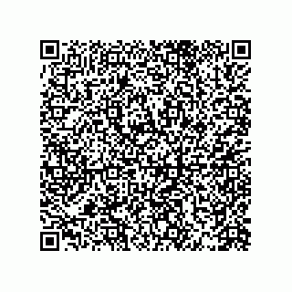 vCard 79833231302