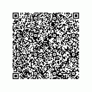 vCard 79833231314