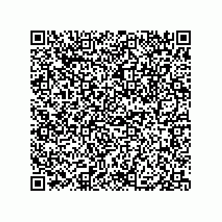 vCard 79833231321