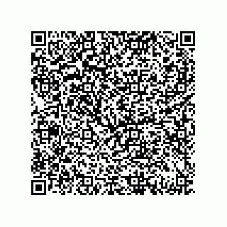 vCard 79833231329