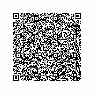vCard 79833231373