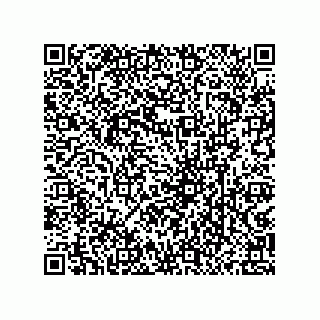 vCard 79833231380
