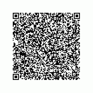 vCard 79833231387