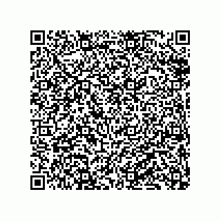 vCard 79833231403