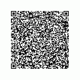 vCard 79833231489