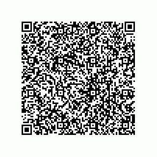 vCard 79833231499