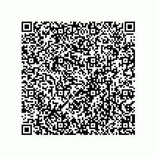 vCard 79833231680