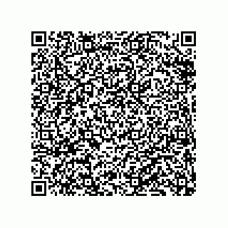 vCard 79833231873
