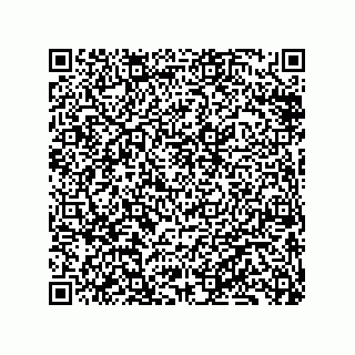 vCard 79833231875
