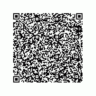 vCard 79833231999