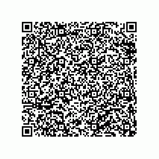vCard 79833232873