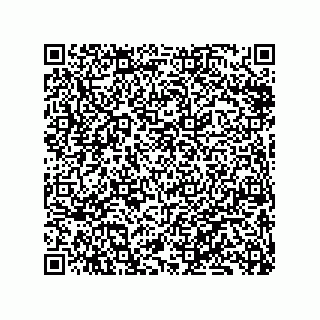 vCard 79833232895