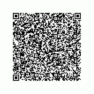 vCard 79833232999