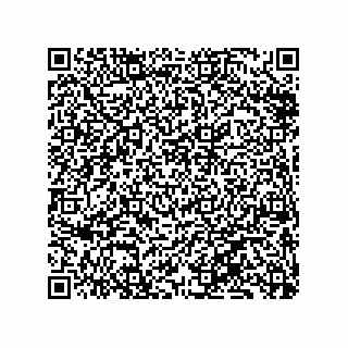 vCard 79833233090