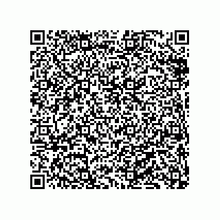 vCard 79833233133