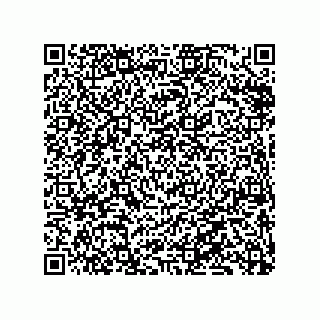 vCard 79833233152