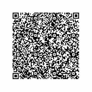 vCard 79833233171
