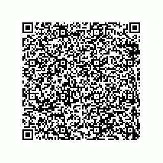 vCard 79833233234