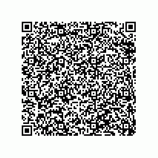 vCard 79833233248