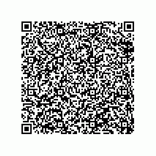 vCard 79833233408