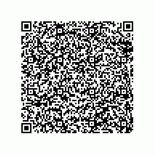vCard 79833233409