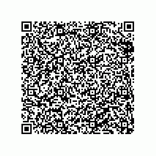 vCard 79833233413