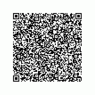 vCard 79833233541