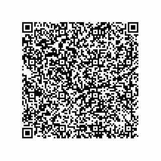vCard 79833235209