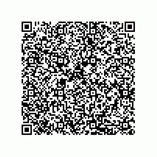 vCard 79833235219