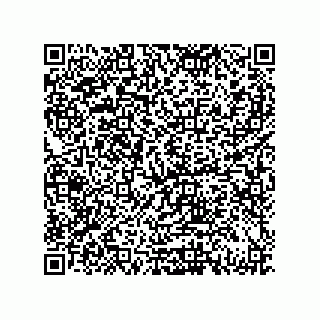 vCard 79833235385