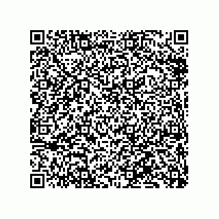 vCard 79833235390