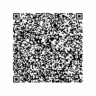 vCard 79833235401