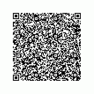 vCard 79833235520
