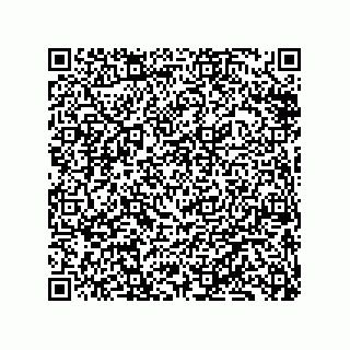 vCard 79833235875