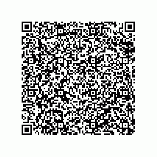 vCard 79833236002