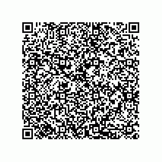 vCard 79833236928