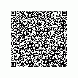 vCard 79833237073