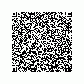 vCard 79833237074