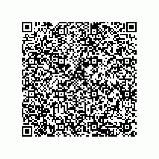 vCard 79833237370