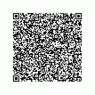vCard 79833237381